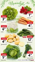 Gazetka promocyjna Intermarche - Gazetka - ważna od 10.04 do 10.04.2024 - strona 7 - produkty: Kalafior, Ogórek, Grunt
