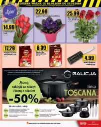 Gazetka promocyjna Topaz - Gazetka - Gazetka - ważna od 06.03 do 06.03.2024 - strona 23 - produkty: Top, Amol, Tulipan, Róża, Klej, Bukiet