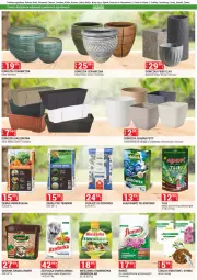 Gazetka promocyjna Merkury Market - Gazetka - ważna od 31.03 do 31.03.2024 - strona 55 - produkty: Chrzan, Gra, Nawóz, Ogród