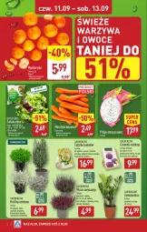 Gazetka promocyjna Aldi - Oferta weekendowa - Gazetka - ważna od 13.09 do 13.09.2025 - strona 4 - produkty: Mandarynki, Warzywa, Sok, Pur, Hiacynt, Cyprysik, Tulipan, Czosnek, Warzywa i owoce, Sałat, Narcyz, Owoce, Krokus, Fa