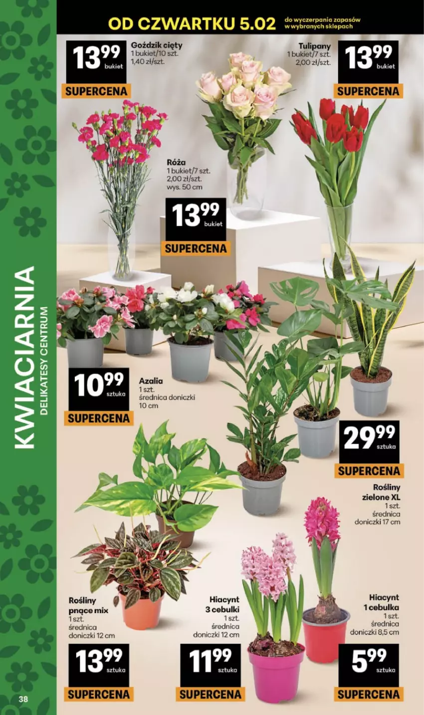 Gazetka promocyjna Delikatesy Centrum - Franczyza DC06 Czwartek - ważna 05.02 do 11.02.2026 - strona 38 - produkty: Bukiet, Hiacynt, Tulipan