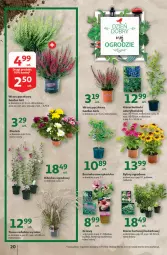 Gazetka promocyjna Auchan - Szkoła oszczędzania Hipermarkety 25-31.08 - Gazetka - ważna od 31.08 do 31.08.2022 - strona 20 - produkty: Sok, Borówka, Borówka amerykańska, Hibiskus, Cień, Bukiet