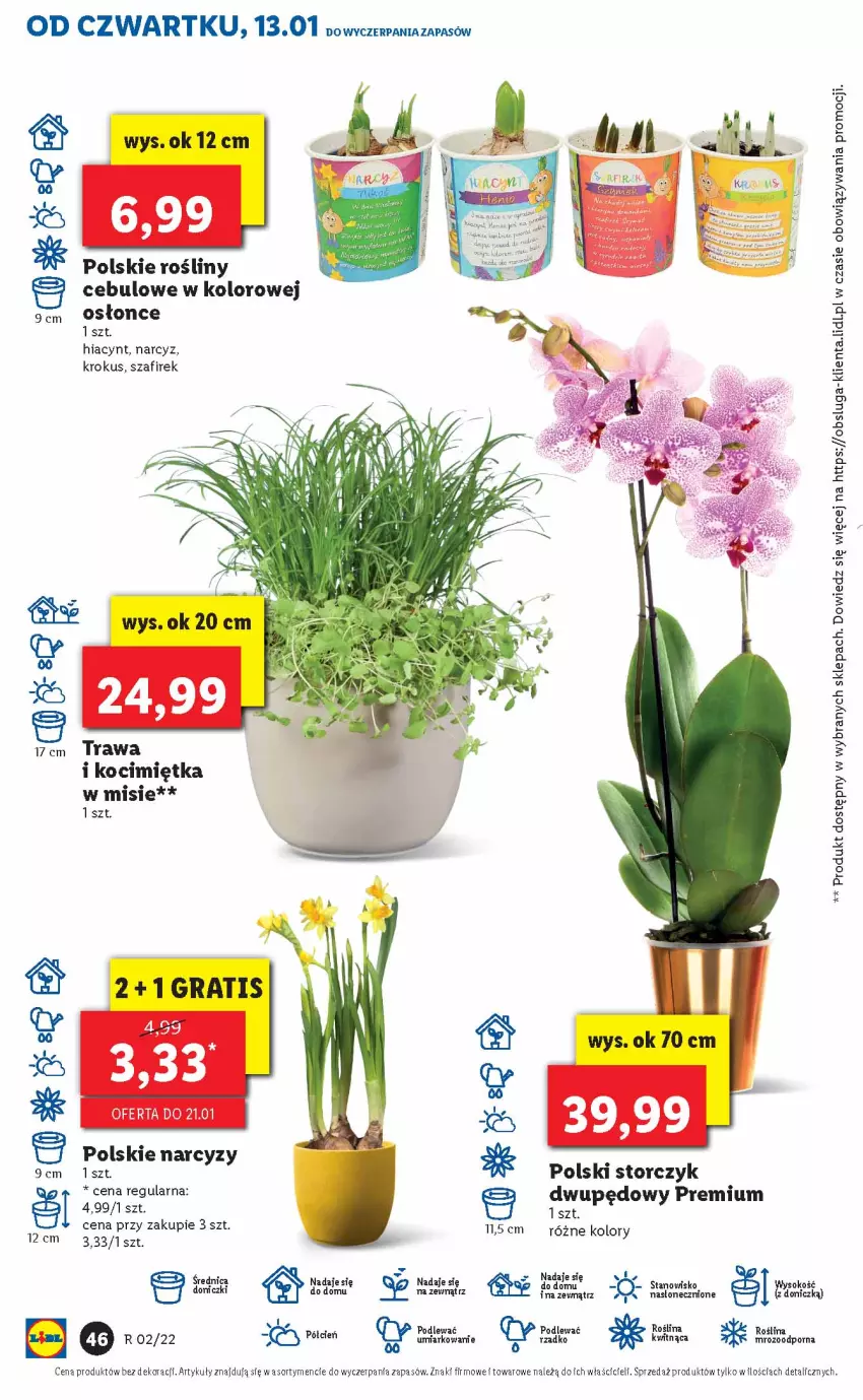 Gazetka promocyjna Lidl - GAZETKA - ważna 13.01 do 16.01.2022 - strona 46 - produkty: Hiacynt, Koc, Krokus, Narcyz, Por, Storczyk