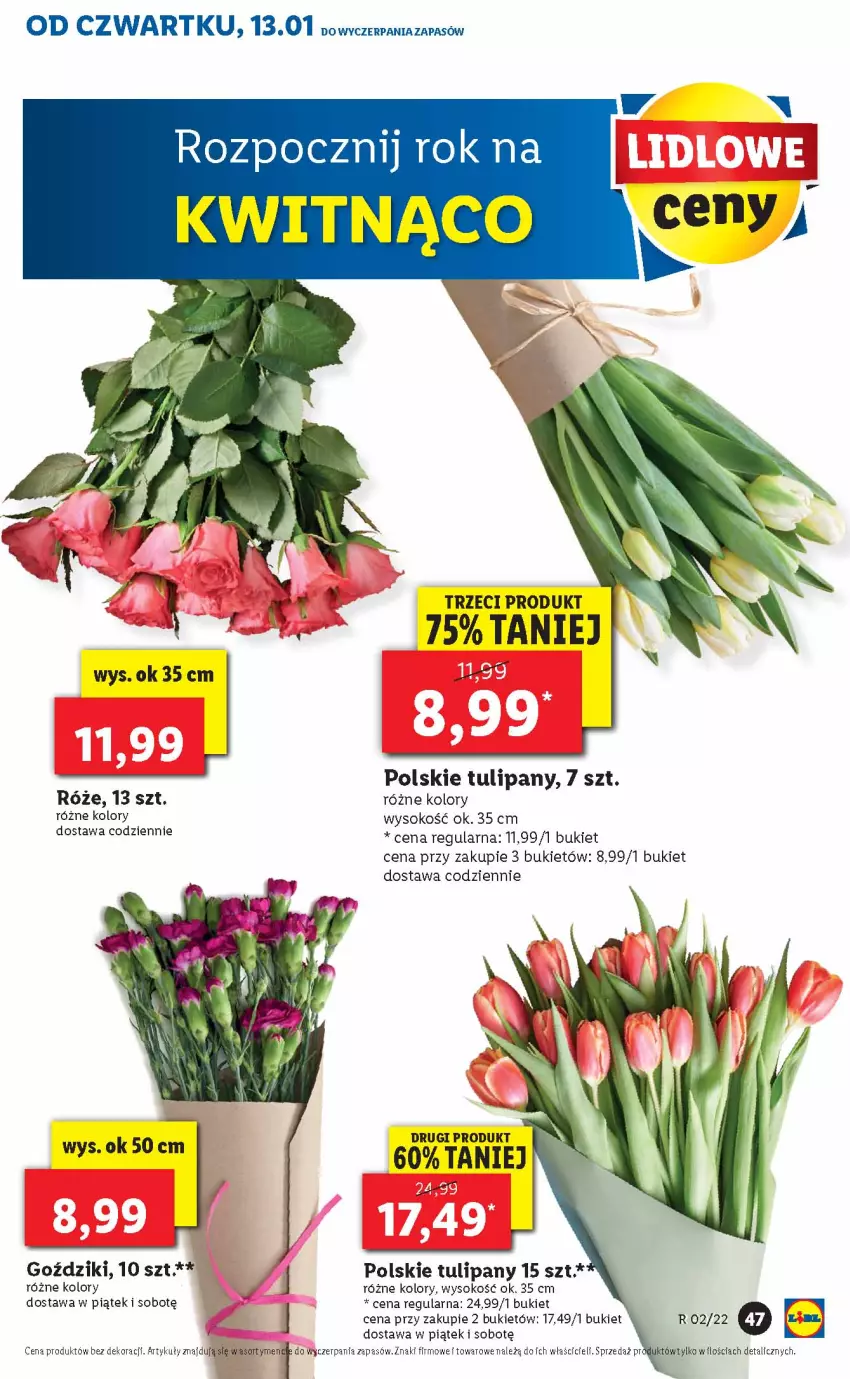 Gazetka promocyjna Lidl - GAZETKA - ważna 13.01 do 16.01.2022 - strona 47 - produkty: Bukiet, Sok, Tulipan