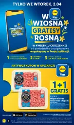 Gazetka promocyjna Lidl - GAZETKA - Gazetka - ważna od 03.04 do 03.04.2024 - strona 6 - produkty: Mięso mielone, Gra, Olej, Mięso