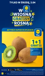 Gazetka promocyjna Lidl - GAZETKA - Gazetka - ważna od 03.04 do 03.04.2024 - strona 8 - produkty: Gra, Kiwi, Olej
