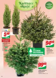 Gazetka promocyjna Dino - Gazetka - ważna od 10.12 do 10.12.2024 - strona 50 - produkty: Sok