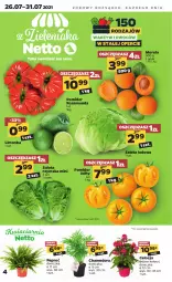 Gazetka promocyjna Netto - Kuchenne Inspiracje - Gazetka - ważna od 07.08 do 07.08.2021 - strona 4 - produkty: Sałata lodowa, Morela, Sałat, Limonka