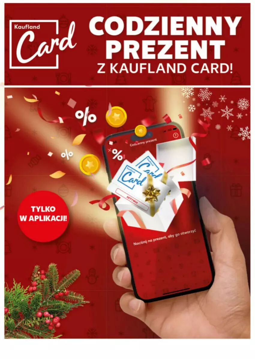 Gazetka promocyjna Kaufland - ważna 16.12 do 18.12.2024 - strona 34