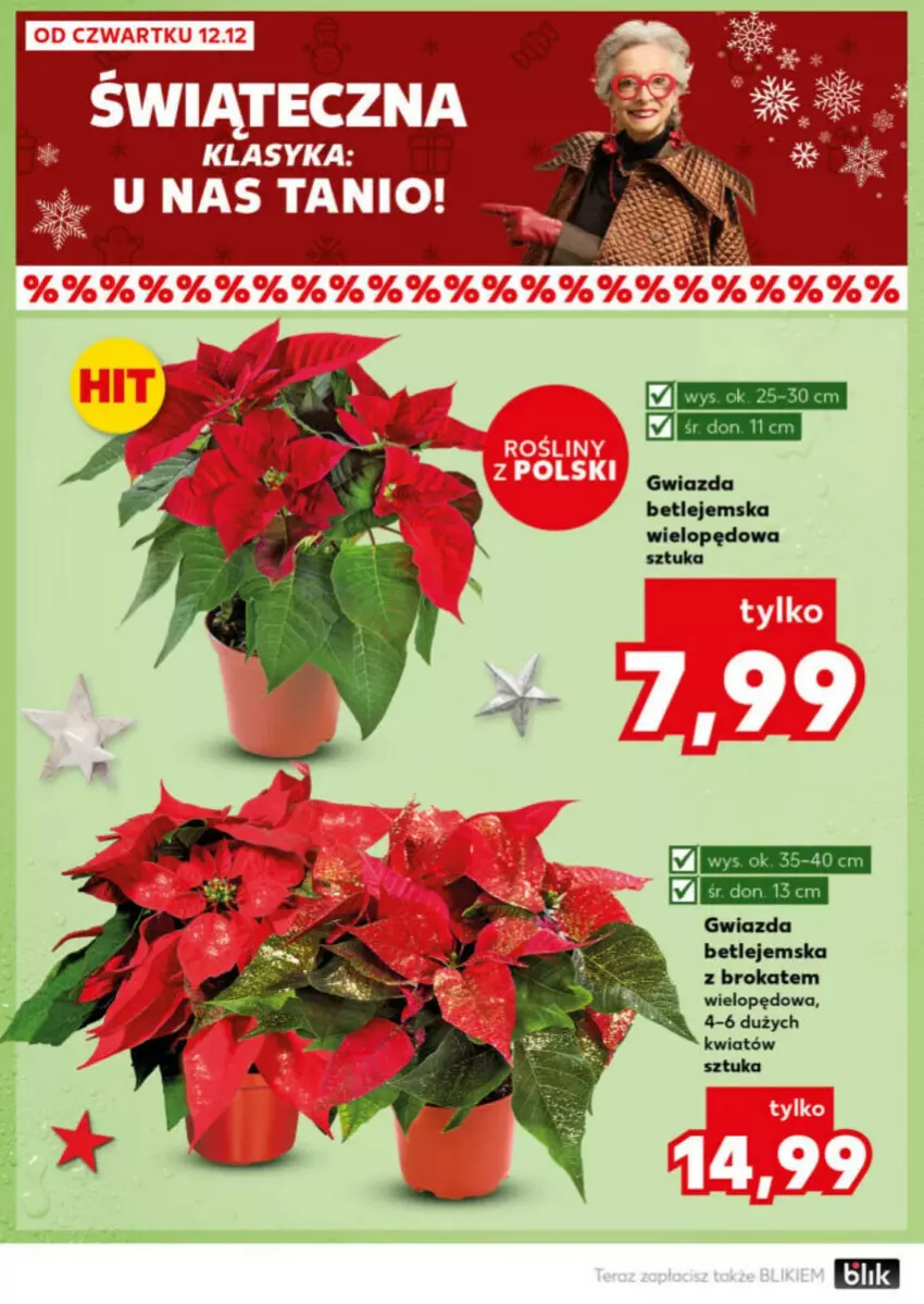 Gazetka promocyjna Kaufland - ważna 16.12 do 18.12.2024 - strona 49 - produkty: Gwiazda