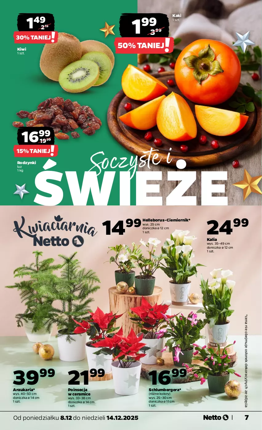 Gazetka promocyjna Netto - Od Poniedziałku - ważna 08.12 do 14.12.2025 - strona 7 - produkty: Kaki, Kiwi, Poinsecja, Rodzynki