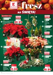 Gazetka promocyjna Kaufland - Gazetka tygodnia - Gazetka - ważna od 16.12 do 16.12.2025 - strona 26 - produkty: Amarylis, Gwiazda, Stroik świąteczny