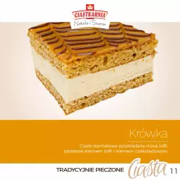 Gazetka promocyjna Topaz - Gazetka - Gazetka - ważna od 28.02 do 28.02.2025 - strona 11 - produkty: Piec