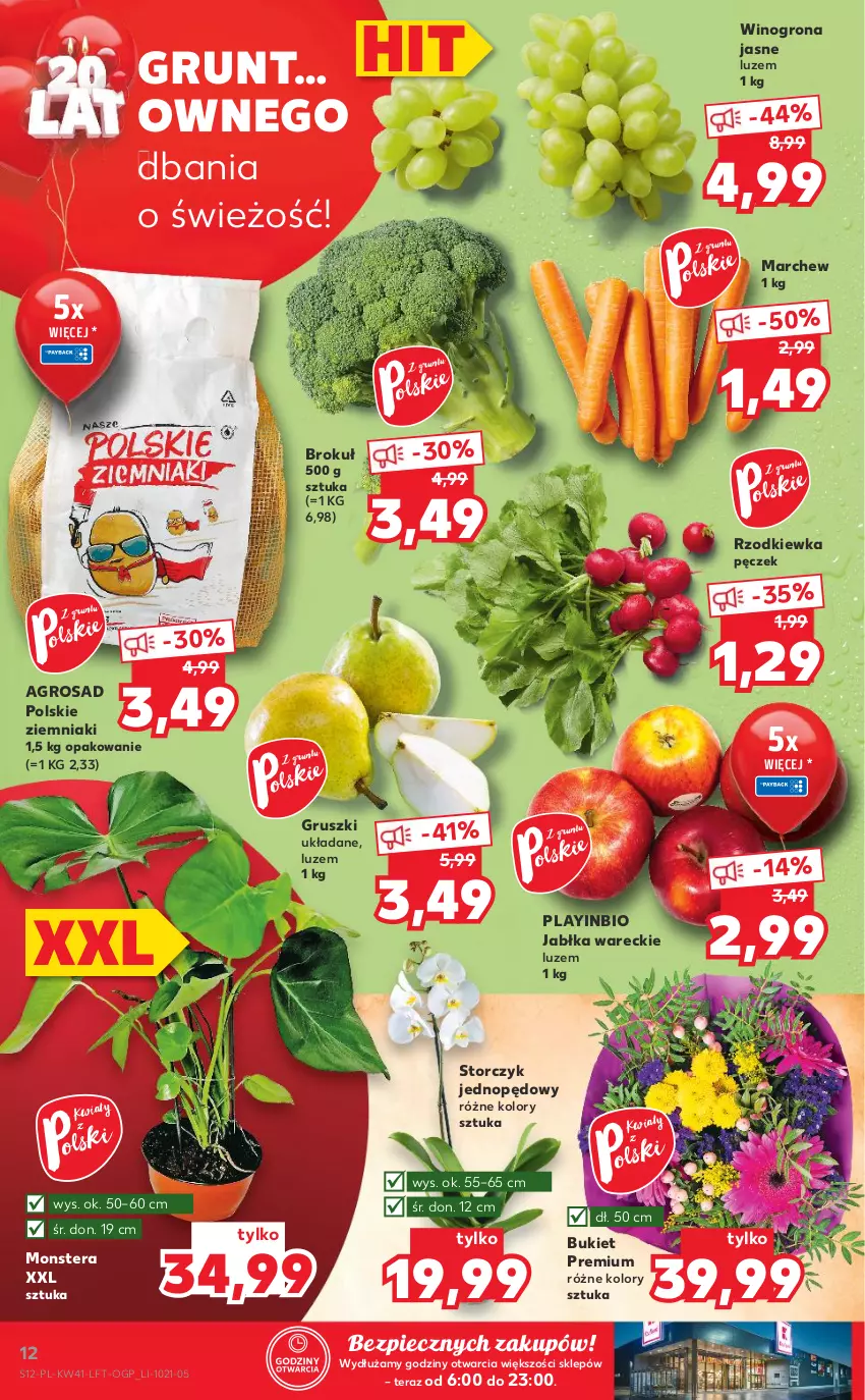 Gazetka promocyjna Kaufland - OFERTA TYGODNIA - ważna 14.10 do 20.10.2021 - strona 12 - produkty: Bukiet, Grunt, Gruszki, Jabłka, Piec, Rzodkiewka, Storczyk, Tera, Wino, Winogrona, Ziemniaki