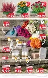 Gazetka promocyjna Kaufland - OFERTA TYGODNIA - Gazetka - ważna od 20.10 do 20.10.2021 - strona 47 - produkty: Piwo, Gra, Chryzantema, Bukiet, Szufelka