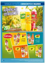 Gazetka promocyjna Carrefour - Gazetka Wielki wybór cenionych marek - Gazetka - ważna od 22.04 do 22.04.2023 - strona 32 - produkty: Sok, Koc, Hellena, Napój, Grejpfrut