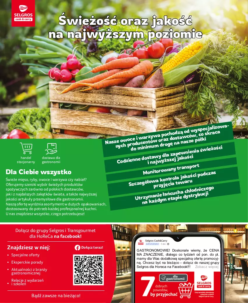 Gazetka promocyjna Selgros - Oferta gastronomiczna - ważna 11.04 do 19.04.2023 - strona 16 - produkty: Fa, LG, Mięso, O nas, Owoce, Por, Tera, Tran, Warzywa