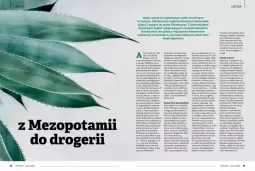 Gazetka promocyjna Drogerie Natura - Gazetka Drogerie Natura - Gazetka - ważna od 31.03 do 31.03.2023 - strona 30 - produkty: Sok, Noż, Inka, Kret, Aloe vera, Półka, Znicz, Woda, Sukulent, Fa