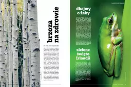 Gazetka promocyjna Drogerie Natura - Gazetka Drogerie Natura - Gazetka - ważna od 31.03 do 31.03.2023 - strona 4 - produkty: Piwo, Ubrania, Sos, Sok, Pur, Gin, Gra, Cynk, Zdrowie, LANA, Obraz, Magnez