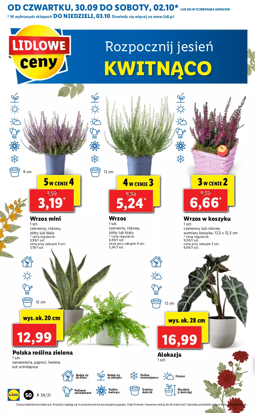 Gazetka promocyjna Lidl - GAZETKA - ważna 30.09 do 03.10.2021 - strona 50 - produkty: Cień, Kosz, Por, Sok