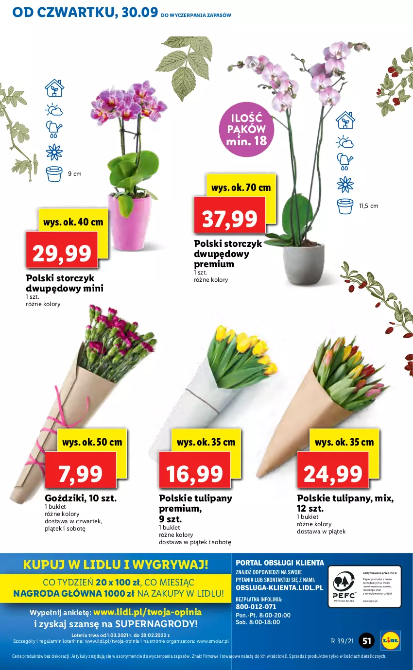 Gazetka promocyjna Lidl - GAZETKA - ważna 30.09 do 03.10.2021 - strona 51 - produkty: Bukiet, Gry, Mola, Storczyk, Tulipan