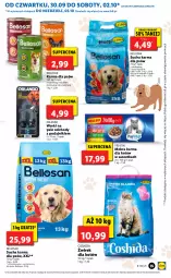 Gazetka promocyjna Lidl - GAZETKA - Gazetka - ważna od 03.10 do 03.10.2021 - strona 35 - produkty: Mokra karma, Por, Gra, Bell, Sucha karma