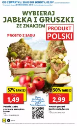 Gazetka promocyjna Lidl - GAZETKA - Gazetka - ważna od 03.10 do 03.10.2021 - strona 6 - produkty: Szampion, Gruszki, Jabłka