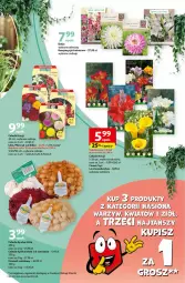 Gazetka promocyjna Auchan - Gazetka z MAŁĄ CENKĄ dźwigniesz więcej! Hipermarket Auchan - Gazetka - ważna od 06.03 do 06.03.2024 - strona 39 - produkty: Cebula, Czosnek, Chia, Miecz