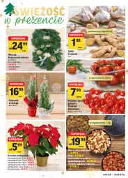 Gazetka promocyjna Intermarche - Gazetka promocyjna - Gazetka - ważna od 19.12 do 19.12.2021 - strona 12 - produkty: Por, Cyprysik, Czosnek, Gwiazda, Imbir