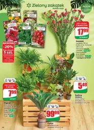 Gazetka promocyjna Dino - Gazetka - ważna od 08.07 do 08.07.2025 - strona 52 - produkty: Sok, Bukiet, Fa