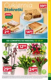 Gazetka promocyjna Stokrotka - Market - Gazetka - ważna od 28.01 do 28.01.2026 - strona 5 - produkty: Warzywa, Sok, Ser, Cukier, Tulipan, Szarlotka, Optima, Storczyk, Bukiet, Owoce, Mięso