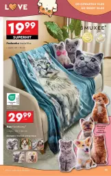 Gazetka promocyjna Biedronka - Okazje Tygodnia - Gazetka - ważna od 22.02 do 22.02.2025 - strona 23 - produkty: Koc, Poduszka
