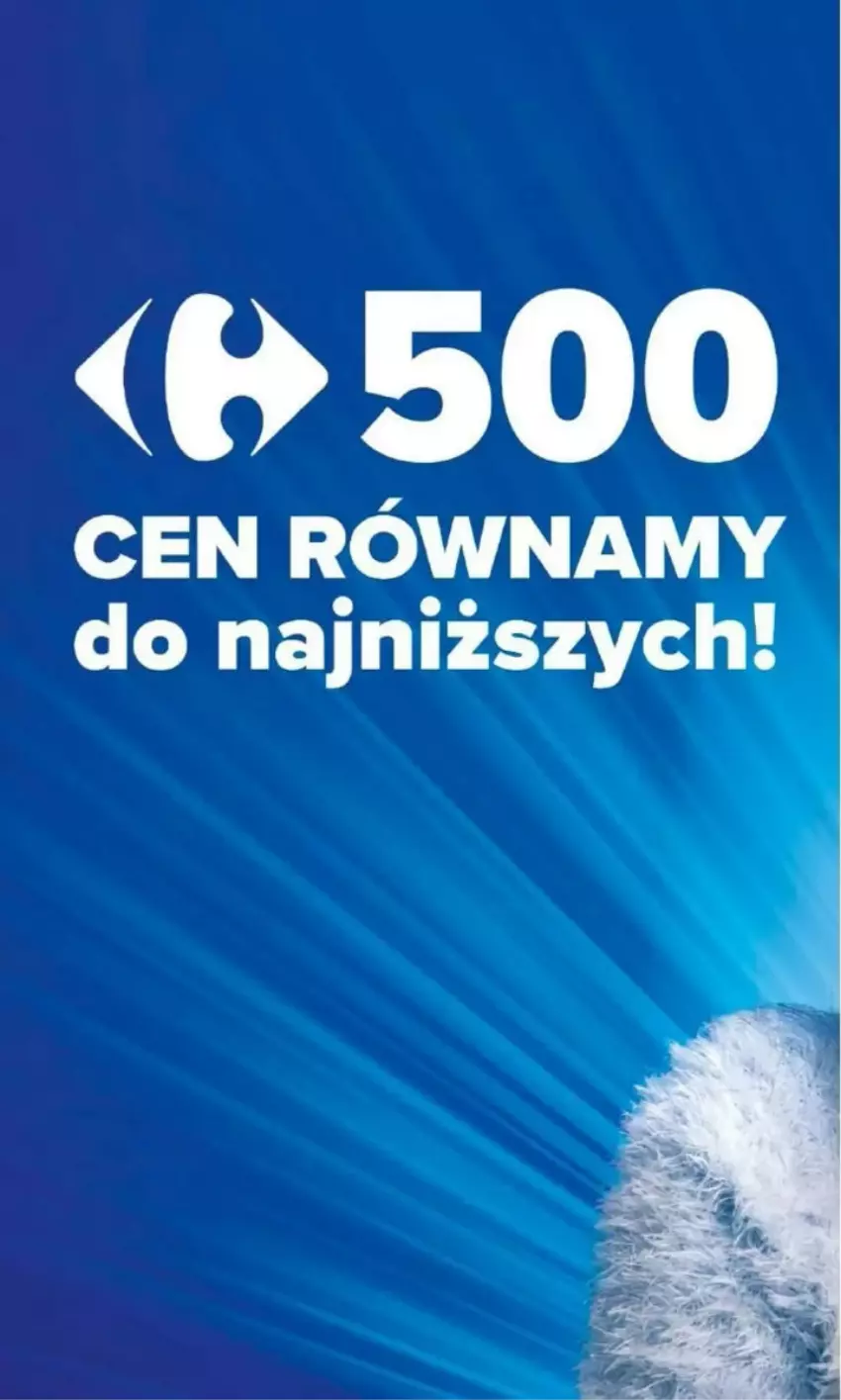 Gazetka promocyjna Carrefour - ważna 17.03 do 22.03.2025 - strona 12