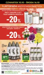 Gazetka promocyjna Delikatesy Centrum - NOWA GAZETKA Delikatesy Centrum od 10 października! 10-16.10.2024 - Gazetka - ważna od 16.10 do 16.10.2024 - strona 24 - produkty: Rum, Gra, Znicz, Mobil
