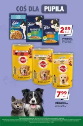 Gazetka promocyjna Groszek - Gazetka - ważna od 30.05 do 30.05.2023 - strona 29 - produkty: Kurczak, Ryż, Felix, Gala, Pedigree, Groszek