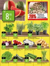 Gazetka promocyjna Bi1 - Grillandia - Gazetka - ważna od 26.04 do 26.04.2022 - strona 11 - produkty: Pistacje