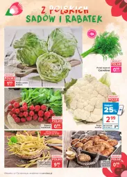 Gazetka promocyjna Carrefour - Gazetka  Znane, lubiane i z POLSKI - Gazetka - ważna od 19.07 do 19.07.2021 - strona 3 - produkty: Sałata lodowa, Ziemniaki, Sałat, Fa