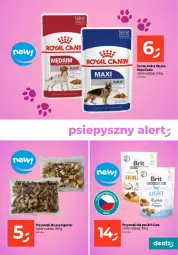 Gazetka promocyjna Dealz - MAKE A DEALZ - Gazetka - ważna od 07.02 do 07.02.2024 - strona 19 - produkty: Brit, Brit Care, Royal Canin, Przysmaki