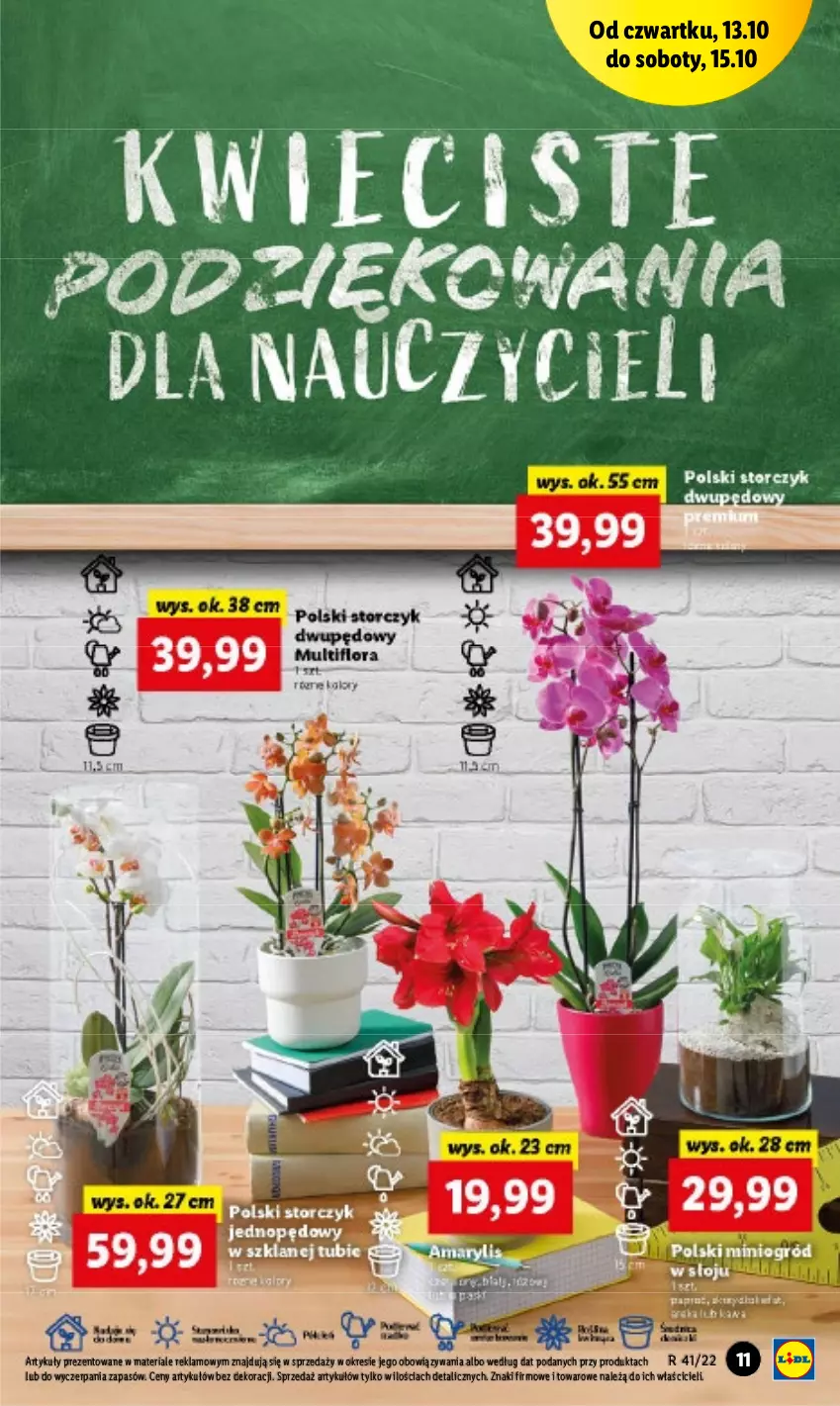 Gazetka promocyjna Lidl - GAZETKA - ważna 13.10 do 15.10.2022 - strona 11