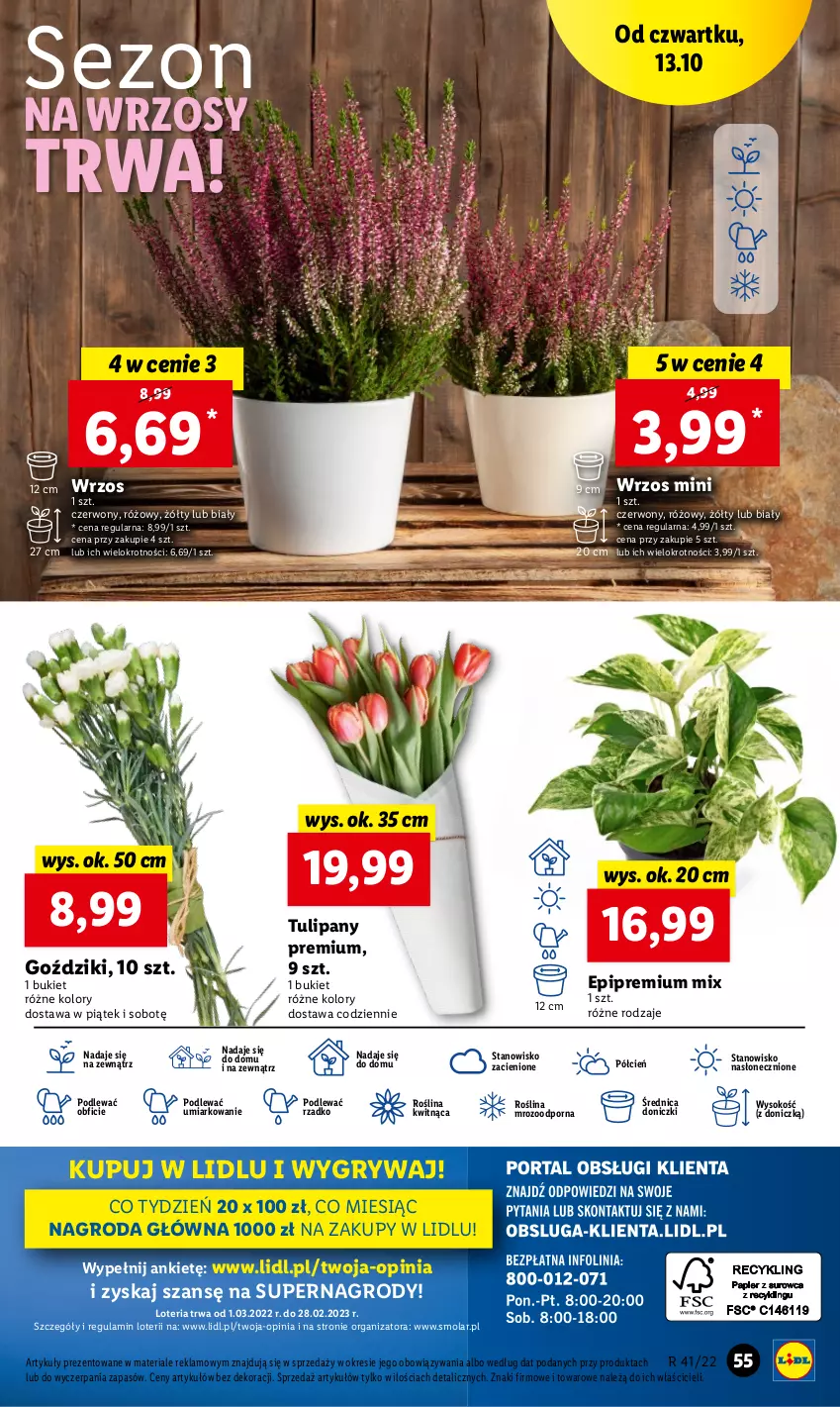 Gazetka promocyjna Lidl - GAZETKA - ważna 13.10 do 15.10.2022 - strona 63 - produkty: Bukiet, Cień, Gry, Mola, O nas, Por, Sok, Tulipan