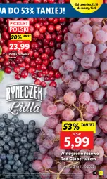 Gazetka promocyjna Lidl - GAZETKA - Gazetka - ważna od 15.10 do 15.10.2022 - strona 23 - produkty: Wino