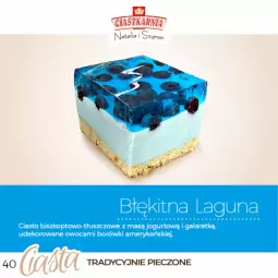 Gazetka promocyjna Topaz - Gazetka - Gazetka - ważna od 31.12 do 31.12.2025 - strona 40 - produkty: Piec