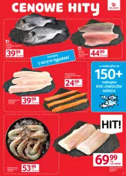 Gazetka promocyjna Selgros - Oferta spożywcza - Gazetka - ważna od 14.06 do 14.06.2023 - strona 5 - produkty: Polędwica, Pstrąg tęczowy, Pstrąg, Krewetki, Dorsz