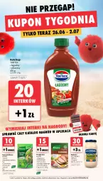 Gazetka promocyjna Intermarche - Gazetka promocyjna - Gazetka - ważna od 02.07 do 02.07.2025 - strona 11 - produkty: Kurczak, Majonez, Ketchup, Sos, Gin, Tera, Sałat, Babuni, GoPro, Knorr