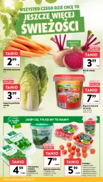 Gazetka promocyjna Intermarche - Gazetka promocyjna - Gazetka - ważna od 02.07 do 02.07.2025 - strona 13 - produkty: Roszponka, Ogórek, Rukola, Szpinak