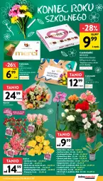 Gazetka promocyjna Intermarche - Gazetka promocyjna - Gazetka - ważna od 02.07 do 02.07.2025 - strona 22 - produkty: Piwo, Gerber, Róża, Primavera, Chia, Kalanchoe, Storczyk, Czekolada, Prima, Bukiet, Merci