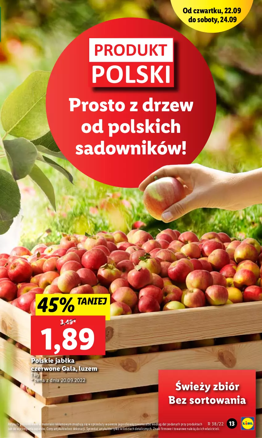 Gazetka promocyjna Lidl - GAZETKA - ważna 22.09 do 24.09.2022 - strona 13 - produkty: Gala, Jabłka
