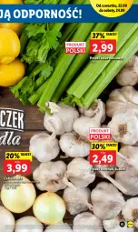 Gazetka promocyjna Lidl - GAZETKA - Gazetka - ważna od 24.09 do 24.09.2022 - strona 15 - produkty: Cebula, Por, Czosnek, Seler naciowy