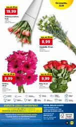 Gazetka promocyjna Lidl - GAZETKA - Gazetka - ważna od 24.09 do 24.09.2022 - strona 55 - produkty: Sok, Por, Gry, Gerber, Tulipan, Cień, O nas, Mola, Bukiet
