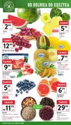 Gazetka promocyjna Intermarche - Gazetka - ważna od 07.08 do 07.08.2024 - strona 8 - produkty: Pistacje, Gra, Borówka, Papryka, Mieszanka orzechowa, Arbuz, Wino, Melon